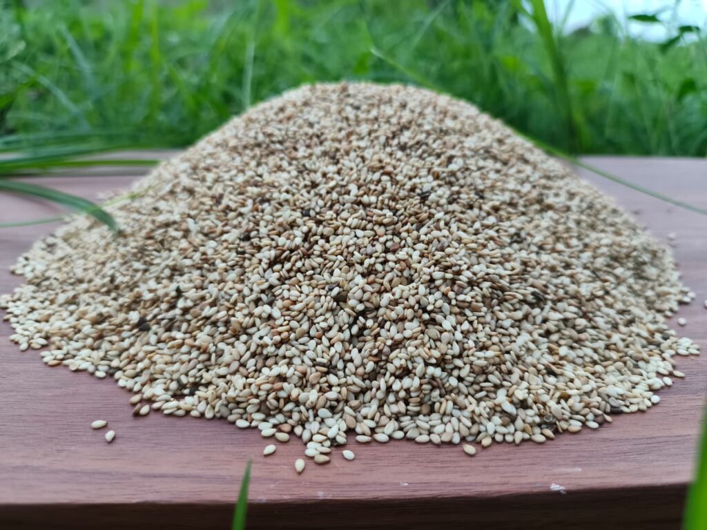 Sesame, Sesame oil, Black sesame, Roasted sesame, Sesame seed, Sesame seeds, Sesame seeds benefits, Black sesame seeds, Sesame seed oil, Sesame benefits,