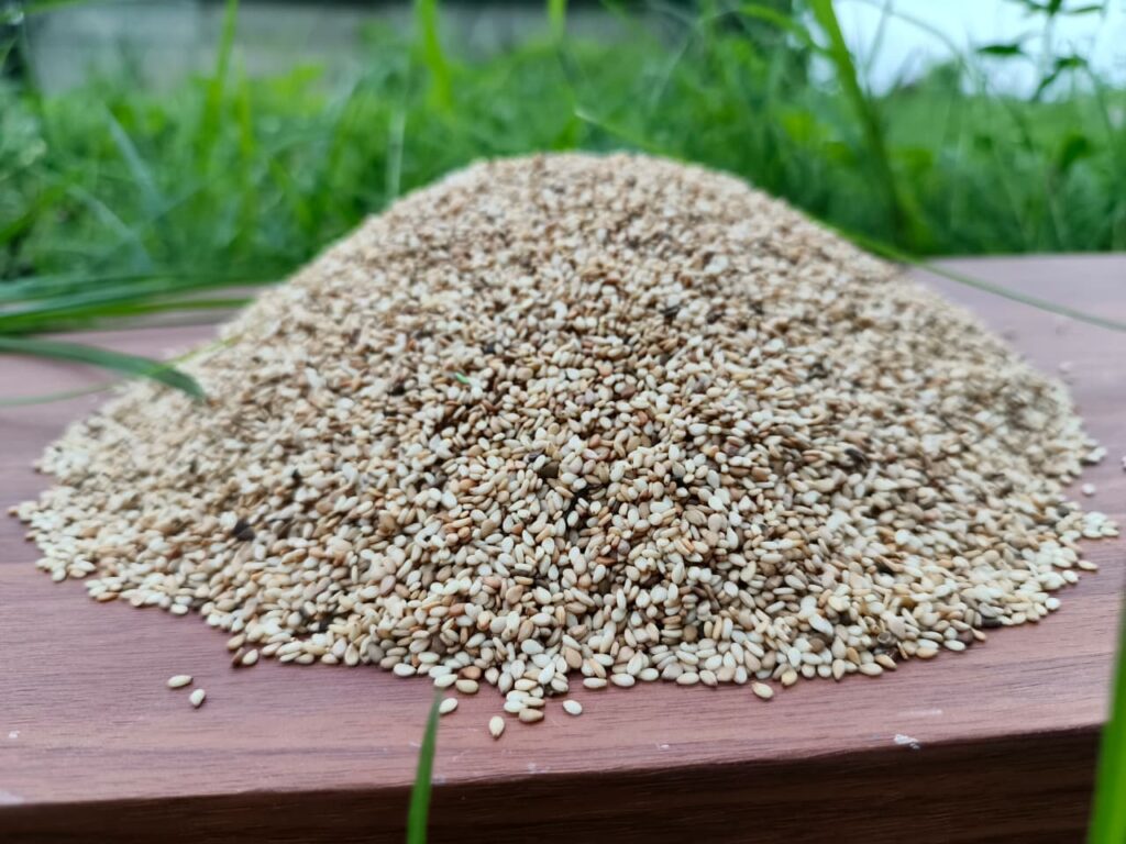 Sesame, Sesame oil, Black sesame, Roasted sesame, Sesame seed, Sesame seeds, Sesame seeds benefits, Black sesame seeds, Sesame seed oil, Sesame benefits, sesame seeds white, sesame supplier, sesame oil benefits, sesame seed supplier, sesame seed exporter, hulled sesame seeds, bulk sesame seeds, natural sesame seeds, sesame seed exporter, Nigeria sesame export,