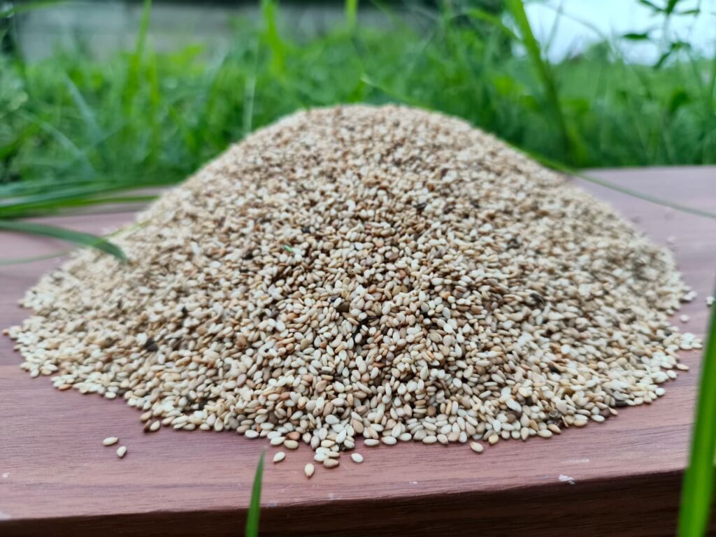 Sesame, Sesame oil, Black sesame, Roasted sesame, Sesame seed, Sesame seeds, Sesame seeds benefits, Black sesame seeds, Sesame seed oil, Sesame benefits, sesame seeds white, sesame supplier, sesame oil benefits, sesame seed supplier, sesame seed exporter, hulled sesame seeds, bulk sesame seeds, natural sesame seeds, sesame seed exporter, Nigeria sesame export,