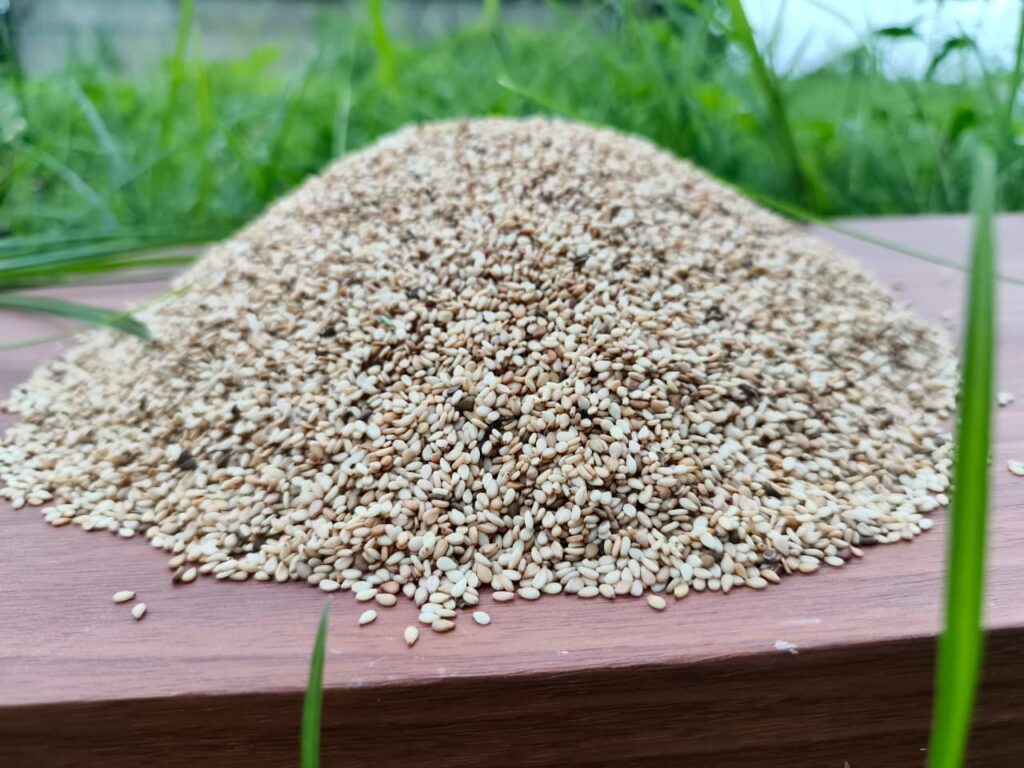 Sesame, Sesame oil, Black sesame, Roasted sesame, Sesame seed, Sesame seeds, Sesame seeds benefits, Black sesame seeds, Sesame seed oil, Sesame benefits, sesame seeds white, sesame supplier, sesame oil benefits, sesame seed supplier, sesame seed exporter, hulled sesame seeds, bulk sesame seeds, natural sesame seeds, sesame seed exporter, Nigeria sesame export,