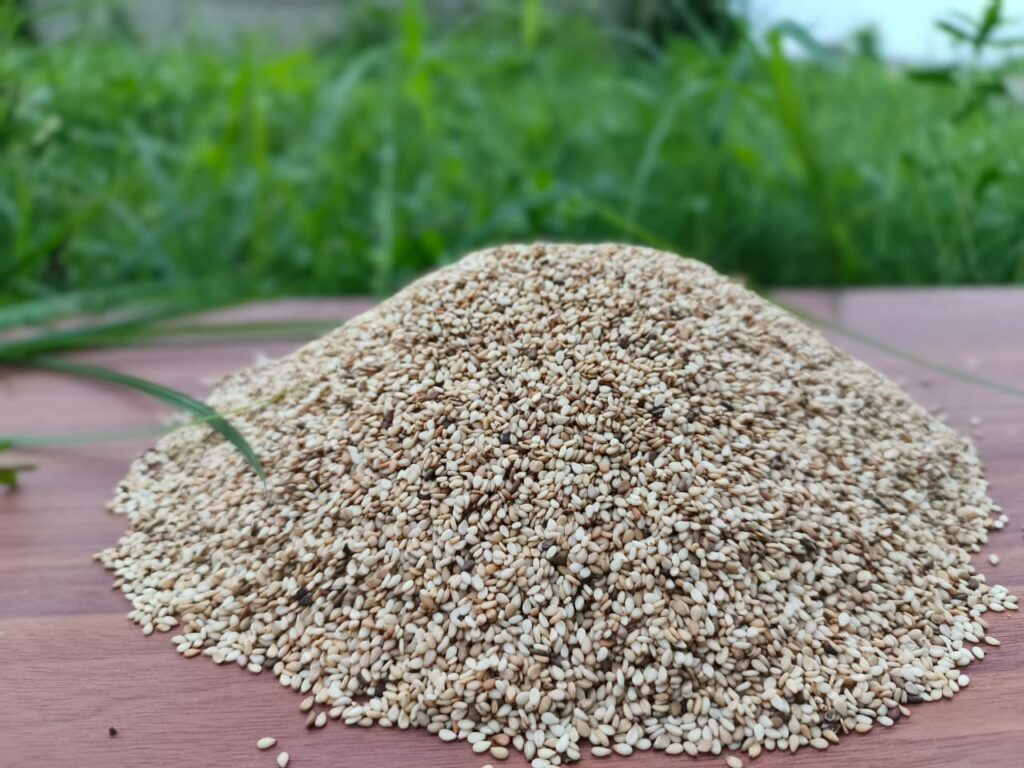 Sesame, Sesame oil, Black sesame, Roasted sesame, Sesame seed, Sesame seeds, Sesame seeds benefits, Black sesame seeds, Sesame seed oil, Sesame benefits, sesame seeds white, sesame supplier, sesame oil benefits, sesame seed supplier, sesame seed exporter, hulled sesame seeds, bulk sesame seeds, natural sesame seeds, sesame seed exporter, Nigeria sesame export,