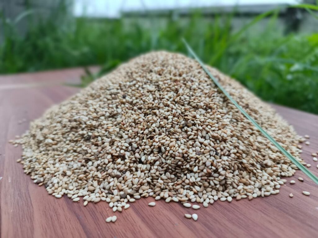 Sesame, Sesame oil, Black sesame, Roasted sesame, Sesame seed, Sesame seeds, Sesame seeds benefits, Black sesame seeds, Sesame seed oil, Sesame benefits, sesame seeds white, sesame supplier, sesame oil benefits, sesame seed supplier, sesame seed exporter, hulled sesame seeds, bulk sesame seeds, natural sesame seeds, sesame seed exporter, Nigeria sesame export,