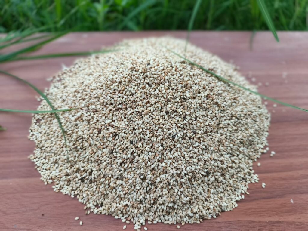 Sesame, Sesame oil, Black sesame, Roasted sesame, Sesame seed, Sesame seeds, Sesame seeds benefits, Black sesame seeds, Sesame seed oil, Sesame benefits, sesame seeds white, sesame supplier, sesame oil benefits, sesame seed supplier, sesame seed exporter, hulled sesame seeds, bulk sesame seeds, natural sesame seeds, sesame seed exporter, Nigeria sesame export,