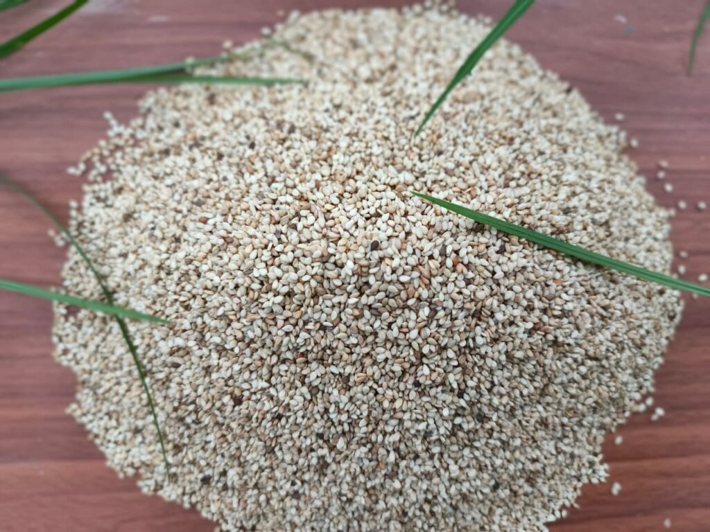 Sesame, Sesame oil, Black sesame, Roasted sesame, Sesame seed, Sesame seeds, Sesame seeds benefits, Black sesame seeds, Sesame seed oil, Sesame benefits, sesame seeds white, sesame supplier, sesame oil benefits, sesame seed supplier, sesame seed exporter, hulled sesame seeds, bulk sesame seeds, natural sesame seeds, sesame seed exporter, Nigeria sesame export,