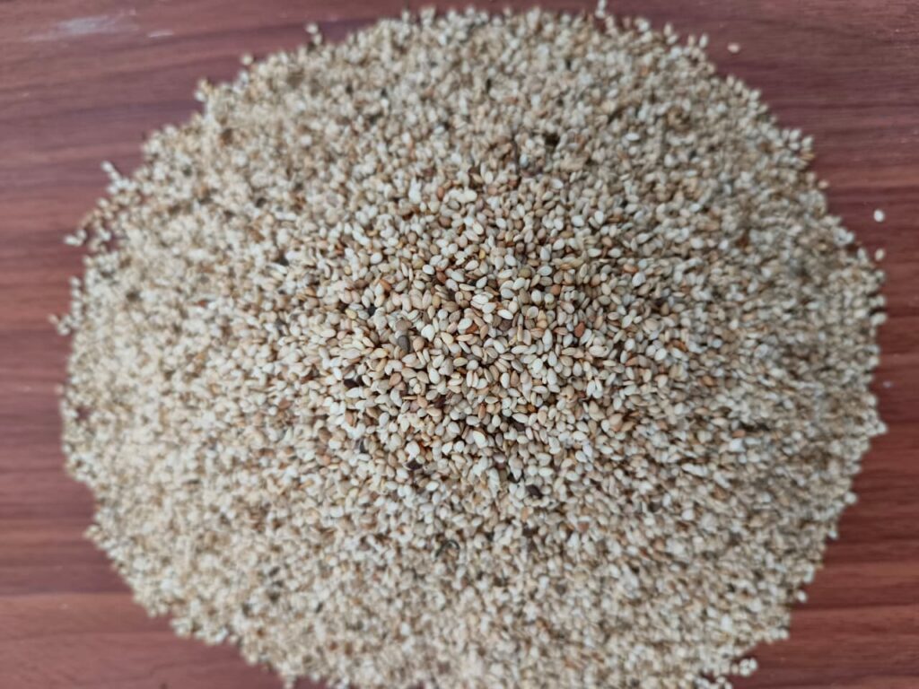 Sesame, Sesame oil, Black sesame, Roasted sesame, Sesame seed, Sesame seeds, Sesame seeds benefits, Black sesame seeds, Sesame seed oil, Sesame benefits, sesame seeds white, sesame supplier, sesame oil benefits, sesame seed supplier, sesame seed exporter, hulled sesame seeds, bulk sesame seeds, natural sesame seeds, sesame seed exporter, Nigeria sesame export,
